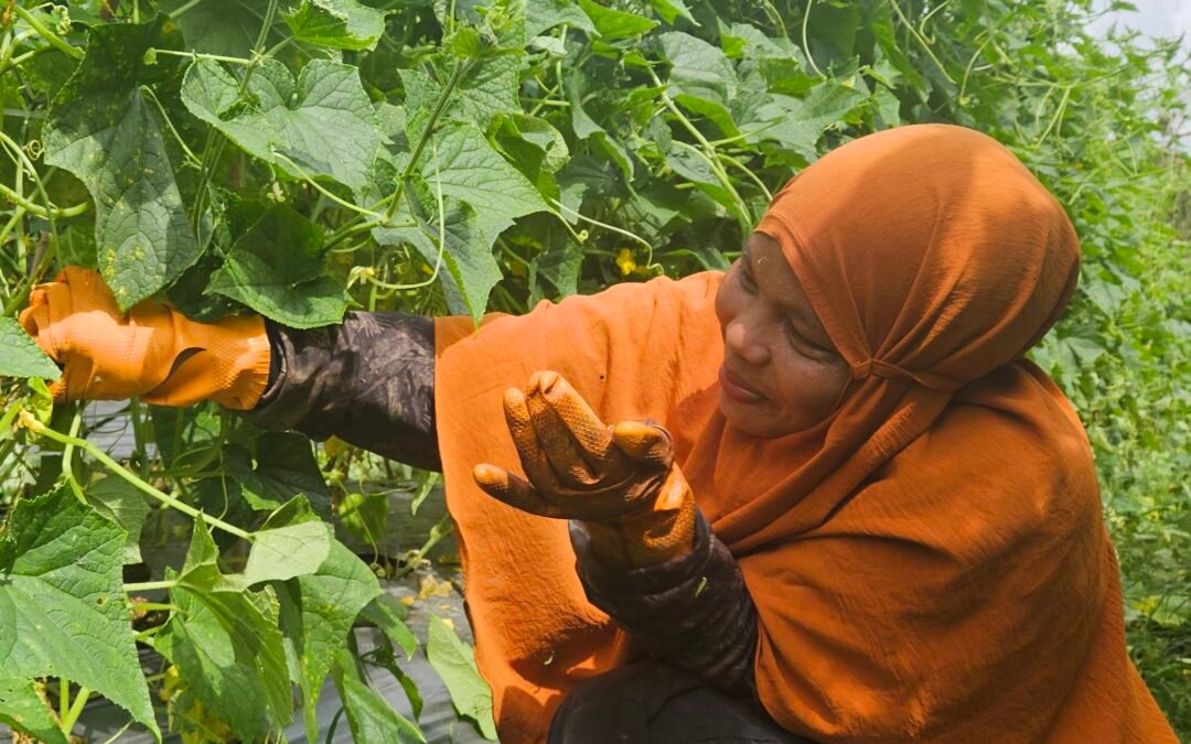 Menjaga Hutan Tersisa: Kawal Borneo Desak Penguatan Kebijakan Perlindungan Wilayah Kelola Rakyat