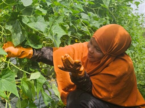 Support design and implementation of “Hutan Desa” Community Forest Management Model