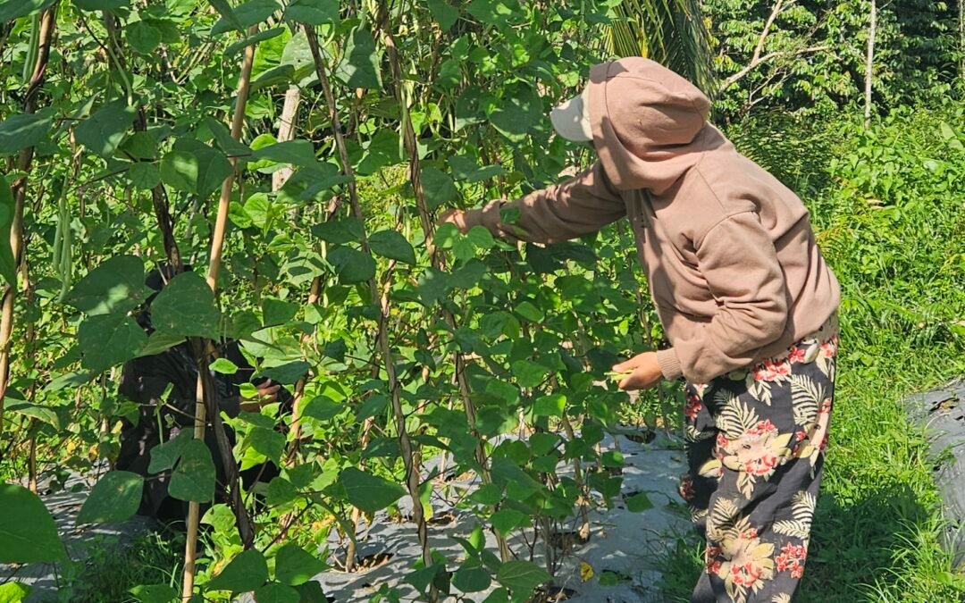 Menanam Harapan di Tanah Borneo: Aksi Kolektif Kaum Muda Menjawab Krisis Lingkungan